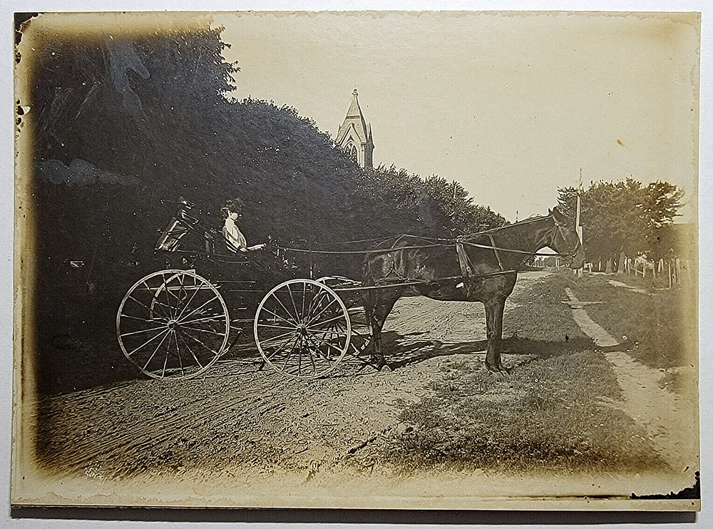 Original Vintage Antique Real Photo Card Lady Horse Wagon Dirt Road Landscape