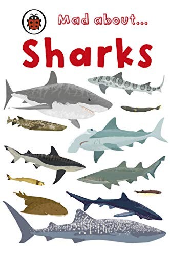Mad About Sharks (Ladybird Minis) by Ladybird Hardback Book The Fast FreeFREE US DELIVERY | ISBN: 1846467985 | Quality Books