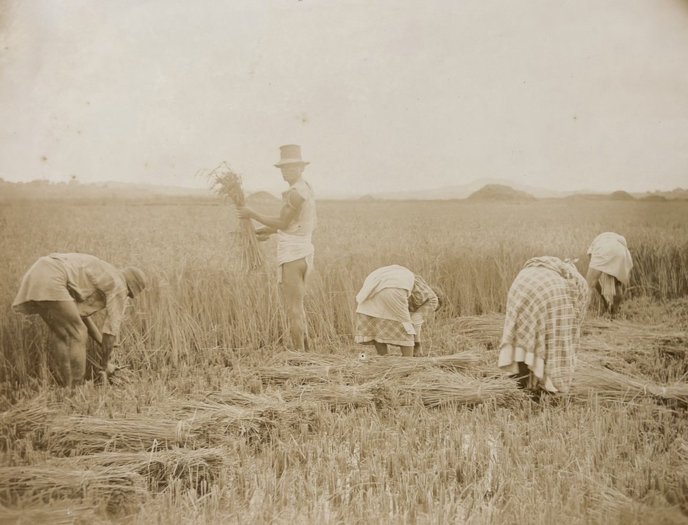 Madagascar, Peasants at Work near Antananarivo, Original Print, 1868 »