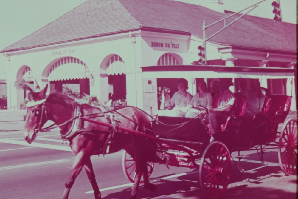 c1960's 35mm Slide, New Orleans Cafe Du Monde, Horse Carriage American mid 20th