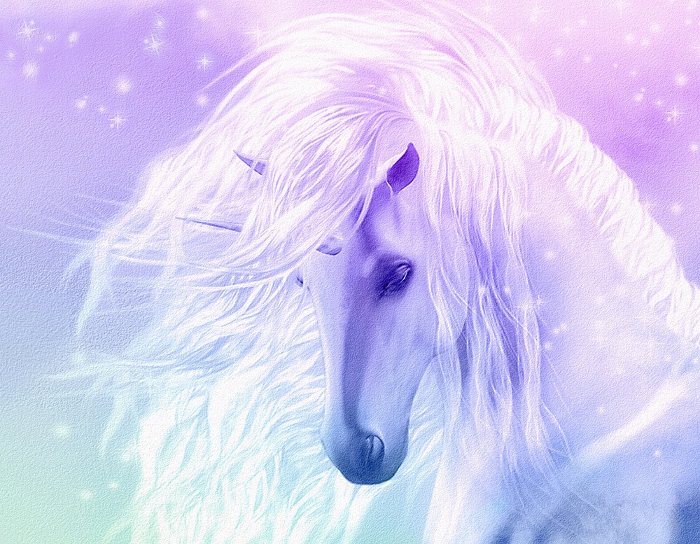 Beautiful Fantasy Unicorn flowing mane pink *FRAMED* CANVAS ART  24x16