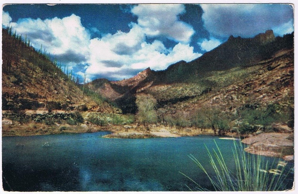 Postcard Sabino Canyon Tucson Arizona