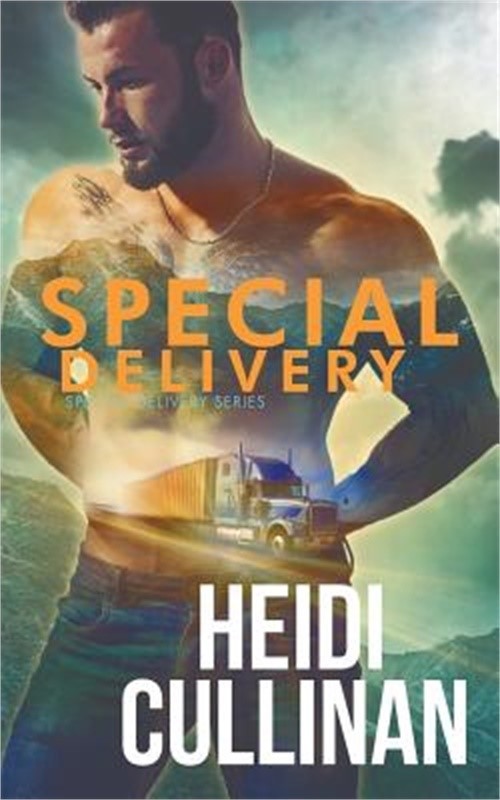 Special Delivery (Paperback or Softback)