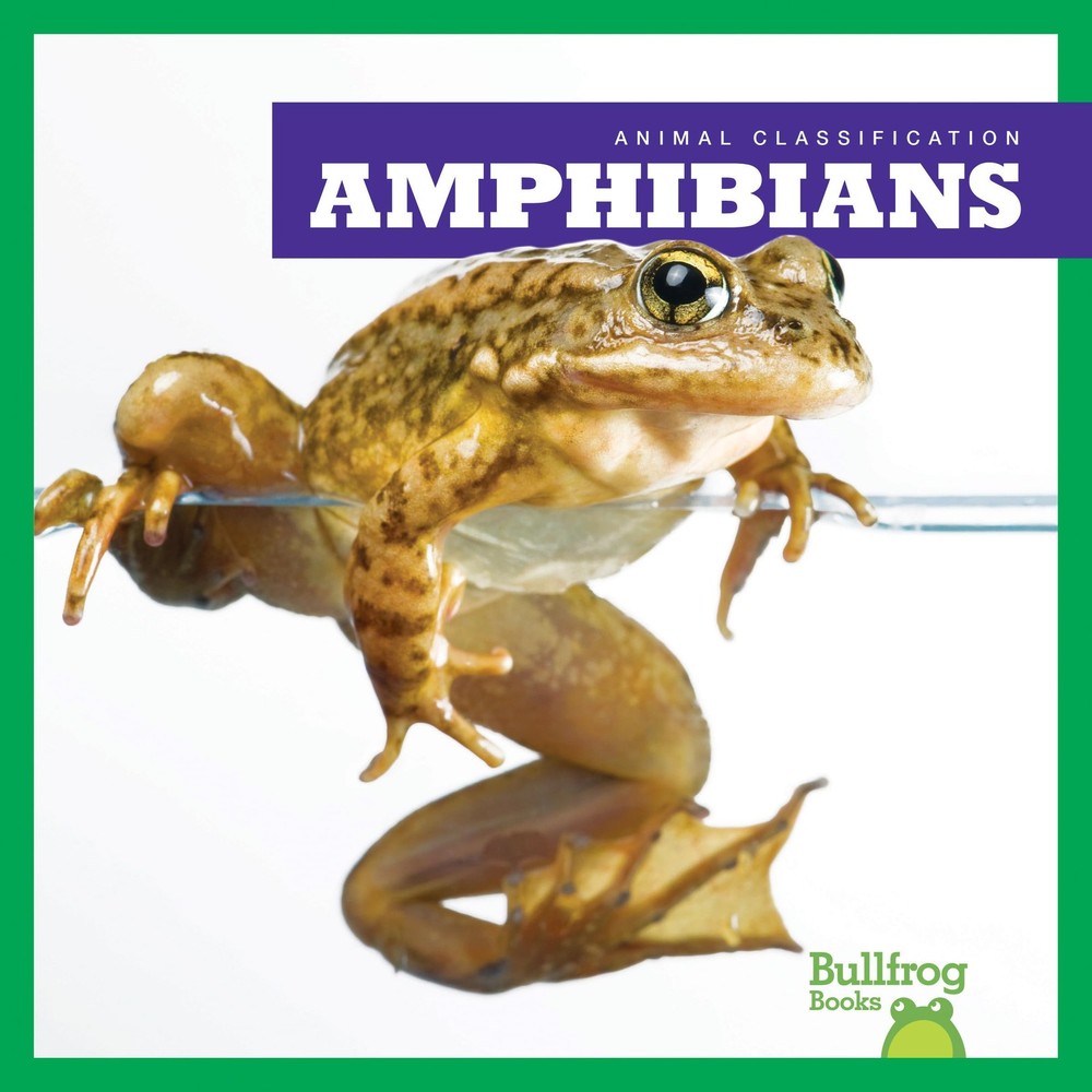 Amphibians (Bullfrog Books: Animal Classification)