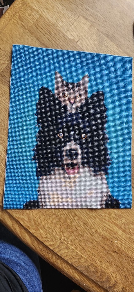 Handmade Needlepoint Finished Piece Dog & Cat Design on Blue Background