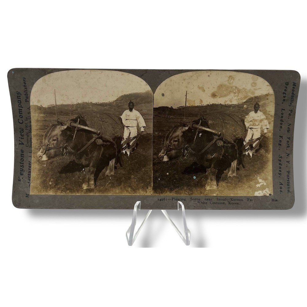 Keystone View Company Stereoview Card Plowing Scene Korea 1901