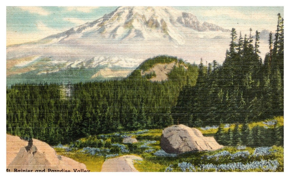 Rainier National Park WA Mt. Rainier & Paradise Valley 1547 Linen Postcard