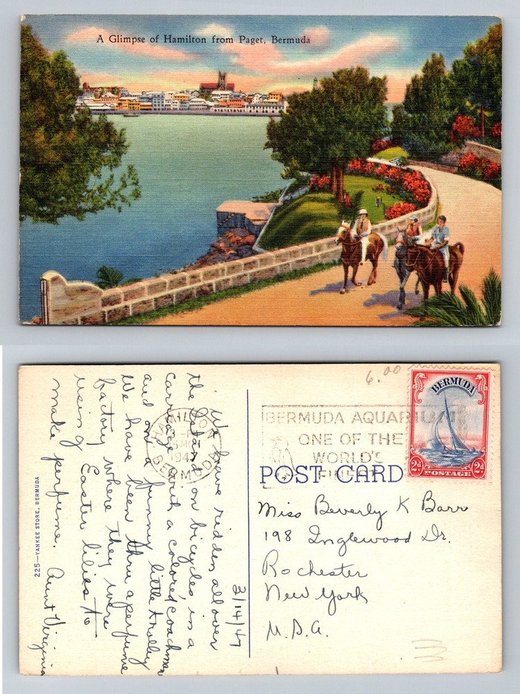 Hamilton-Bermuda, Paget View Horse Riders Harbor Panorama Vintage c1947 Postcard