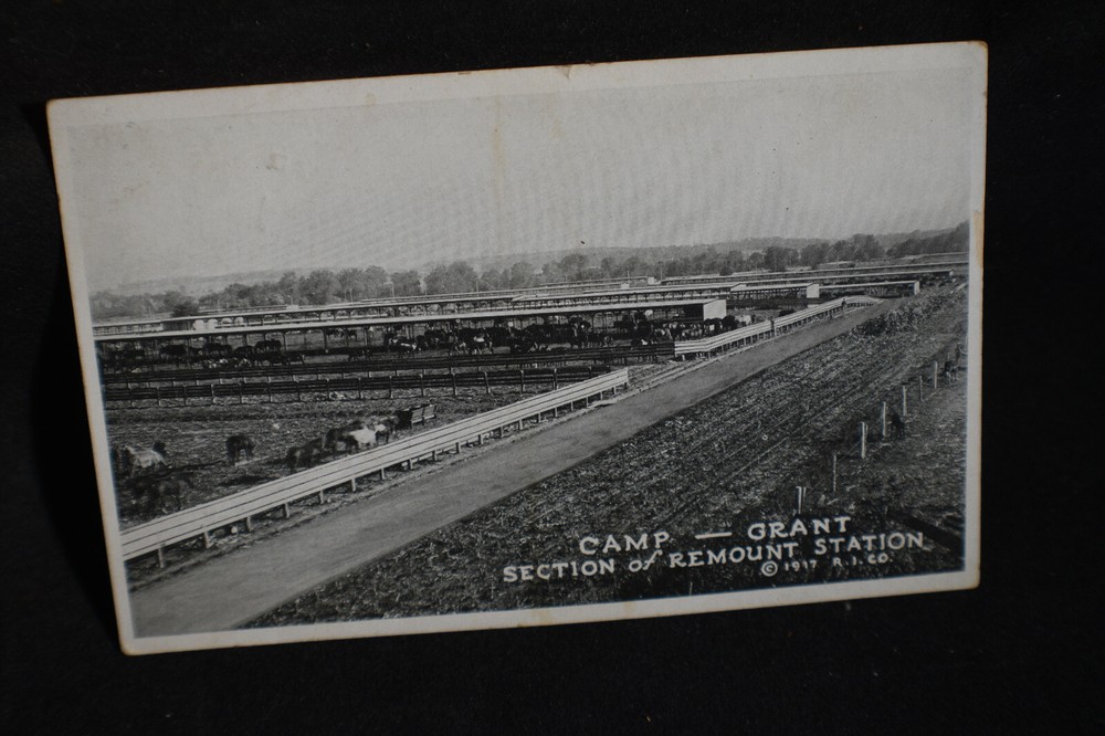 1917 *WW1* RPPC Camp Grant, Section of Remount Station Postcard