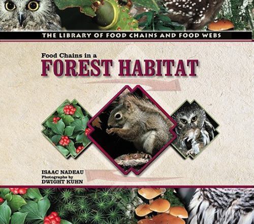 Food Chains in a Forest Habitat (The Library of Food Chains and Food Webs) by Na
