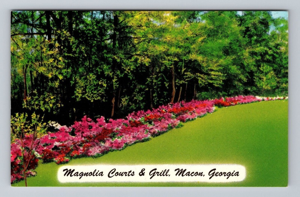 Macon GA-Georgia Magnolia Courts and Grill Vintage Postcard