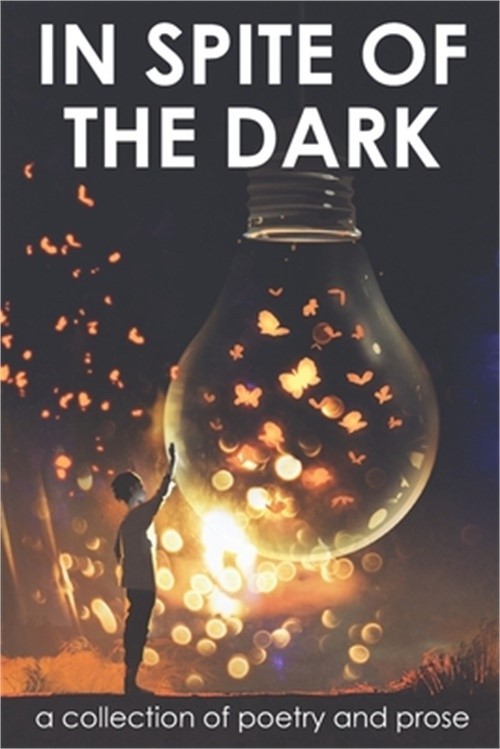 In Spite of the Dark: A Collection of Poetry and Prose (Paperback or Softback)