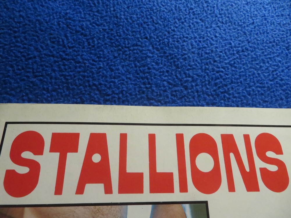Stallions #1  Vintage  Gay Themed Magazine   Rare