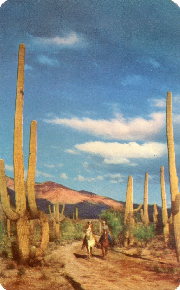 Riders on the Arizona Desert, UNP, VG --POSTCARD