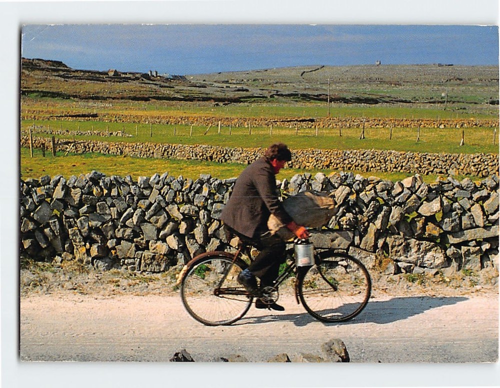 Postcard Bringing home the potatoes Ireland