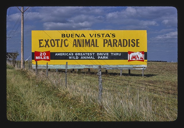 Ozark Missouri Route 65 1979 Buena Vista Exotic Animal Paradise Billboard