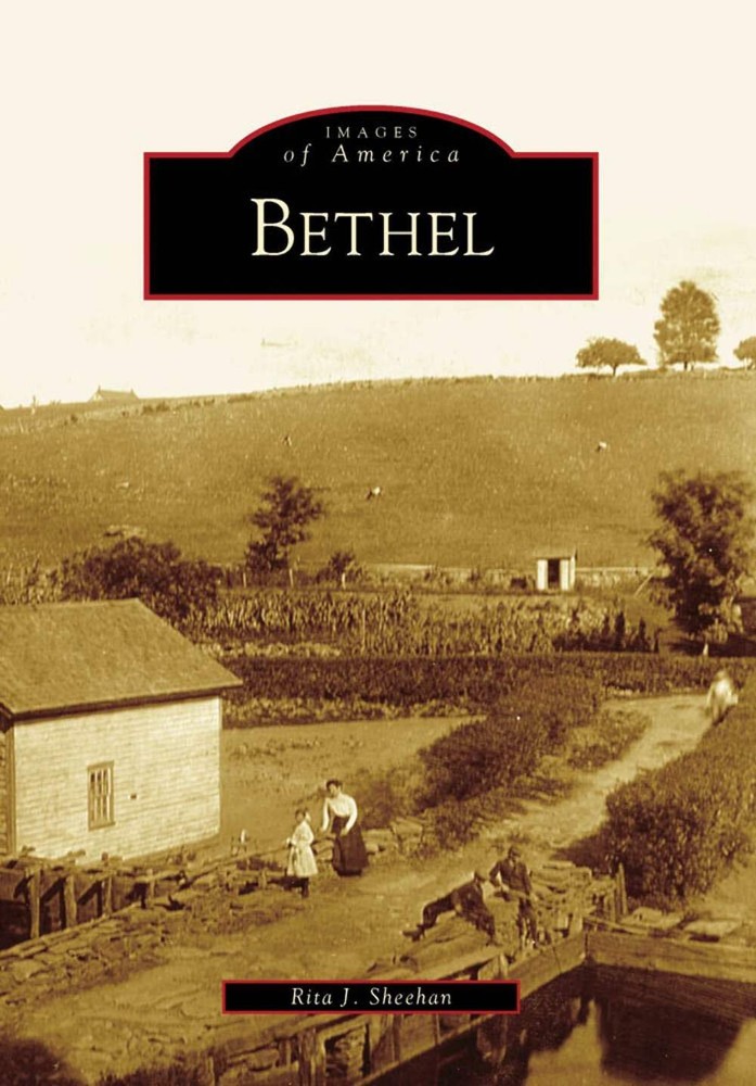 NEW Arcadia Publishing Bethel, NY 9780738565897 Images of America Trade Paperbac
