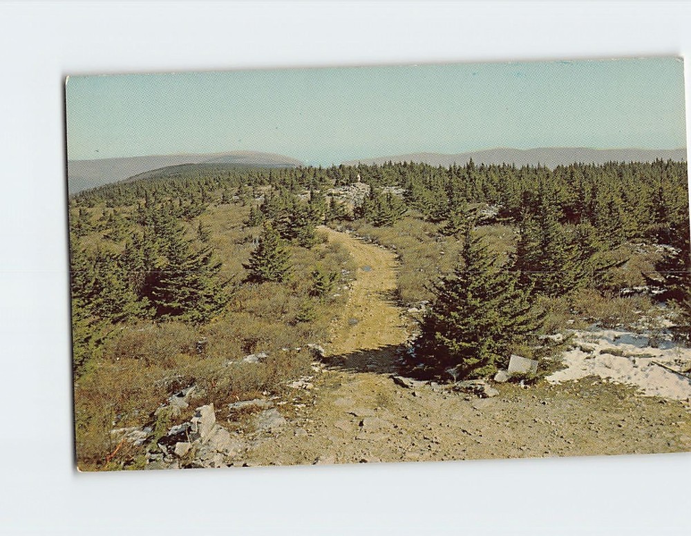 Postcard Looking north from top of tower Spruce Knob West Virginia USA