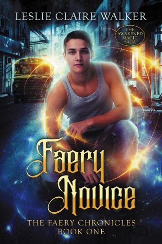 Faery Novice, Like New Used, Free shipping in the US