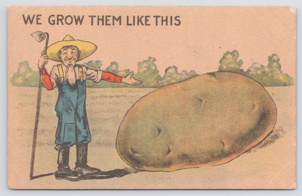 Comics~Farmer With Exaggerated Potato~Vintage Postcard