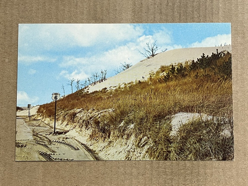 Postcard Sand Dunes on Outer Cape Cod MA Massachusetts Vintage PC