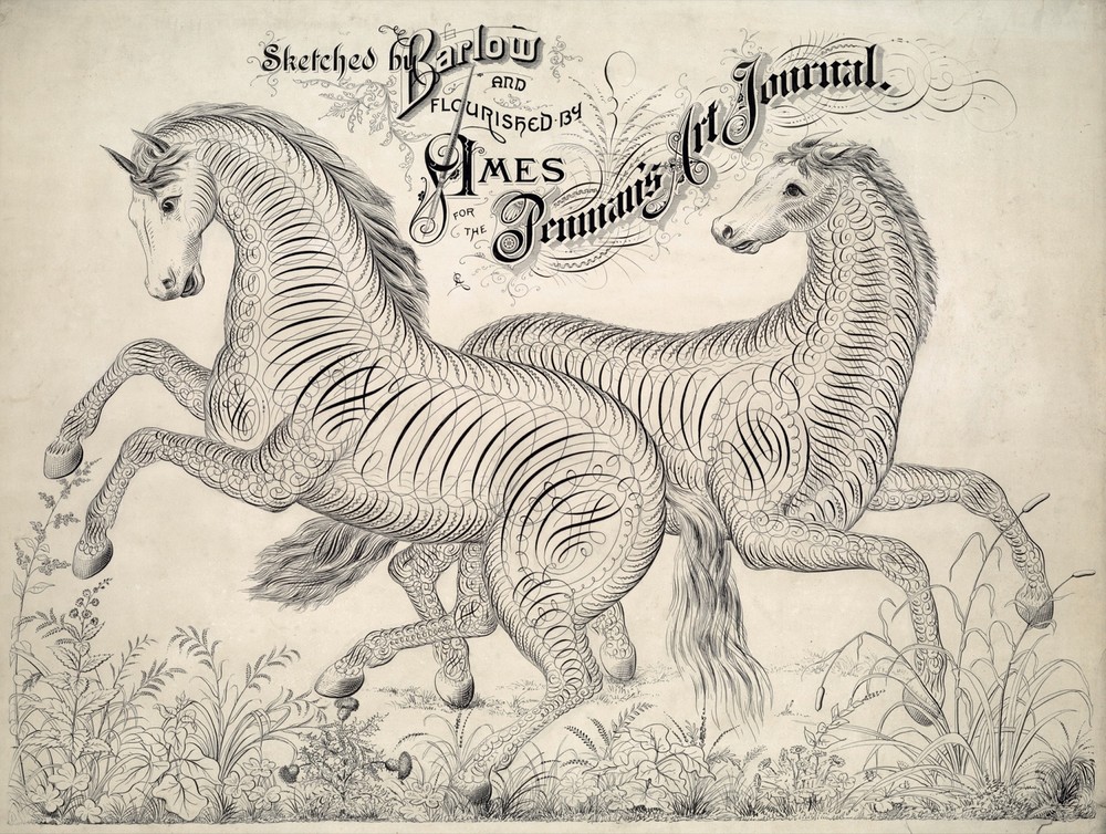 3307.Victorian Calligraphy Drawing of Horses POSTER.Room School Home art decor