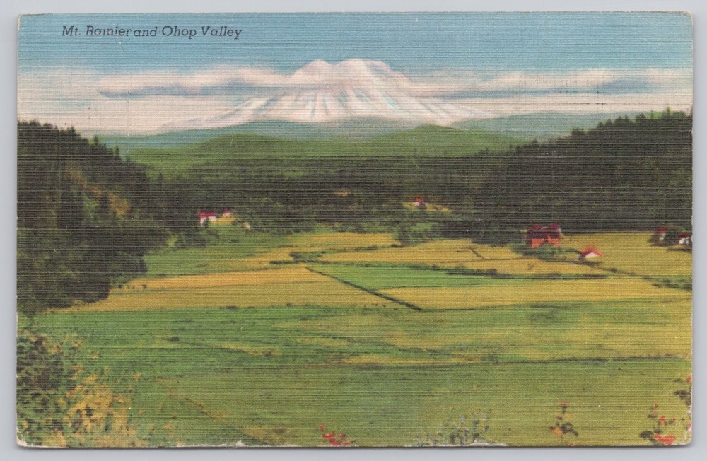 Vintage Mt. Rainier & Ohop Valley Washington Linen Postcard 1952 Colourpicture