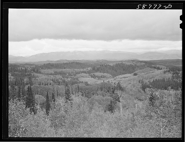 Photo:Pacific Northwest Mountain Forest Landscape 1930s Vista