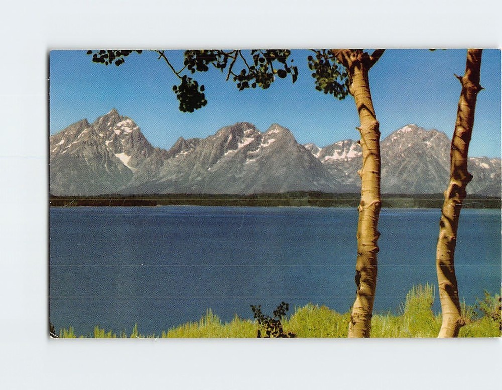 Postcard The Grand Tetons in Wyoming USA