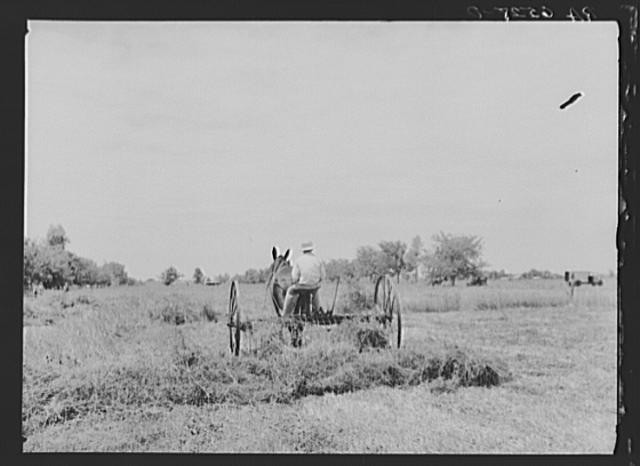 Photo:St. Charles Parish Louisiana 1936 Man on Dump Rake in Clover Farm