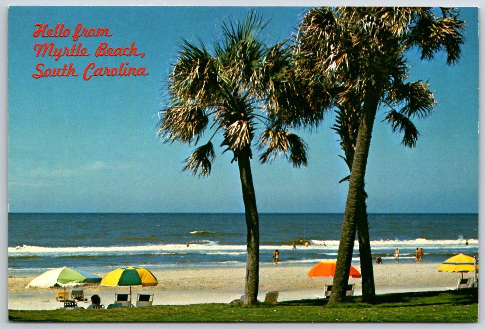 Continental Size Postcard - Hello from Myrtle Beach South Carolina - SC