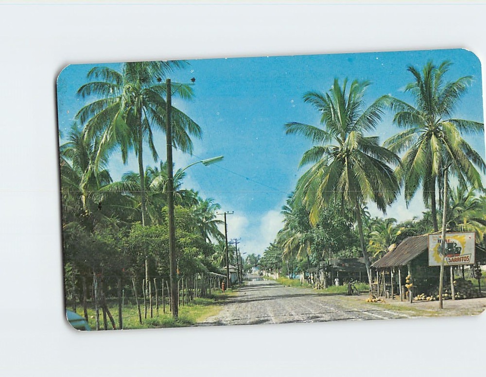 Postcard Tropical Landscape San Blas Nayarit Mexico