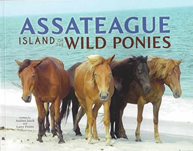 Assateague: Island of Wild Ponies - Paperback, by Andrea Jauck and Larry - Good