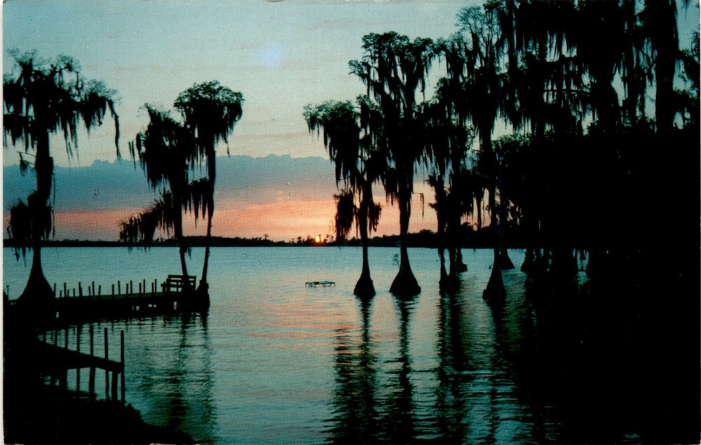Cypress Gardens, Florida, Roppel Color Cards, Hawthorne, Florida Postcard