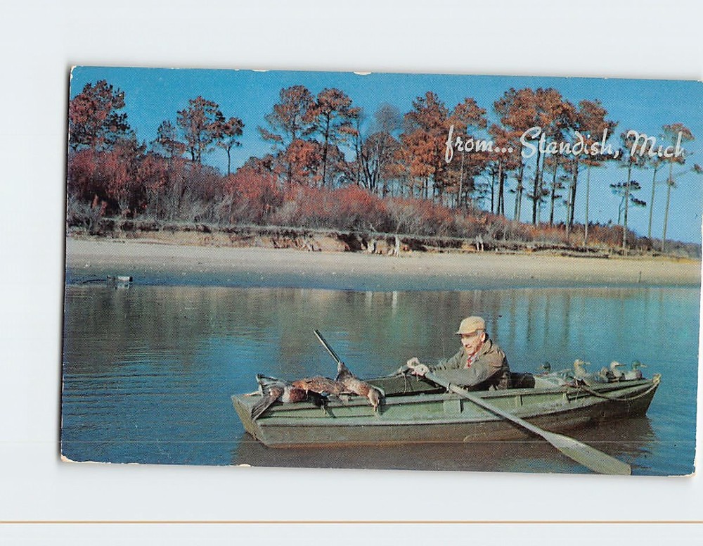 Postcard Duck Hunting Scene from Standish Michigan USA
