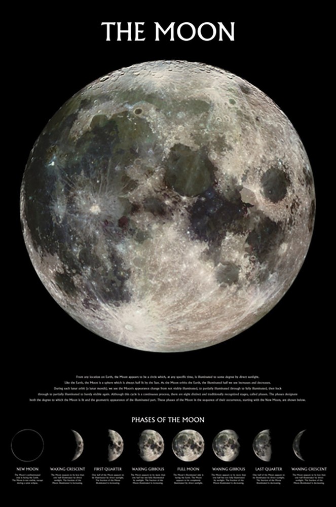 The Moon - Poster (The Phases Of The Moon - Facts & Descriptions) (24