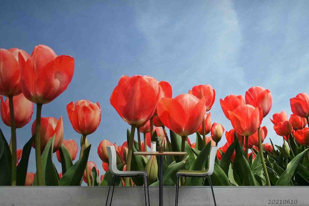 3D Red Tulips Plants Close-up Wall Murals Wallpaper Murals Wall Sticker