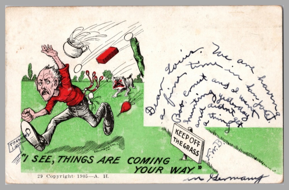 I See Things Are Coming Your Way Man Fleeing Dog and Brick UDB c1905 Postcard