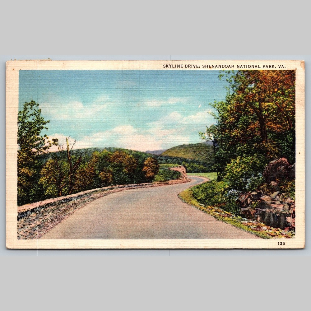 Postcard Skyline Drive Shenandoah National Park VA 1937 Scenic View