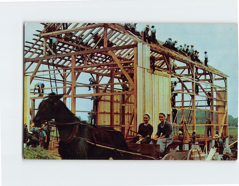 Postcard An Amish Barn Raising Pennsylvania USA
