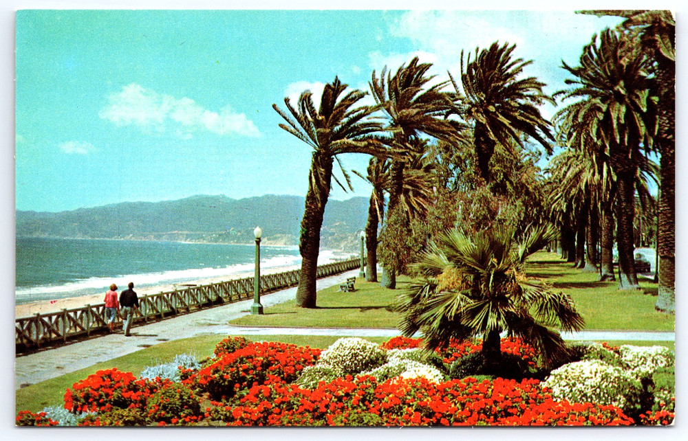 Santa Monica California CA Palisades Park Ocean Flowers Vintage Photo Postcard