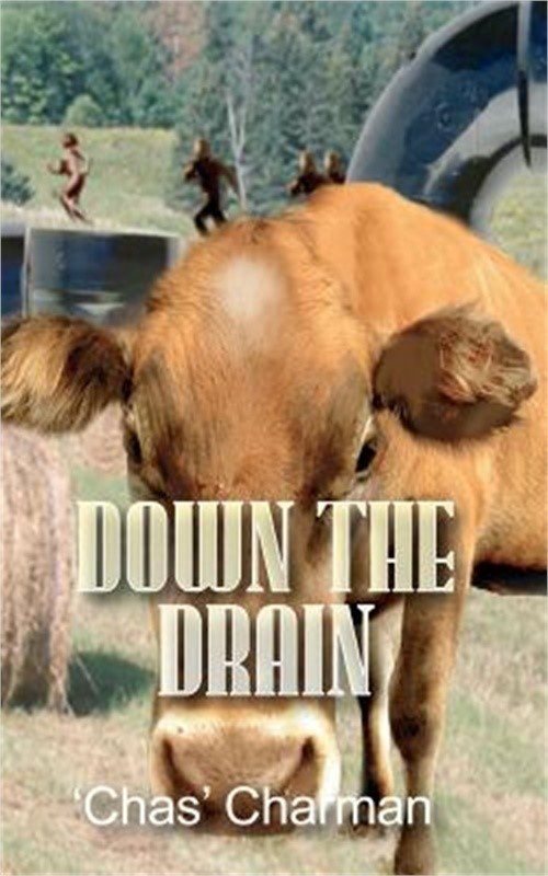 Down the Drain (Paperback or Softback)