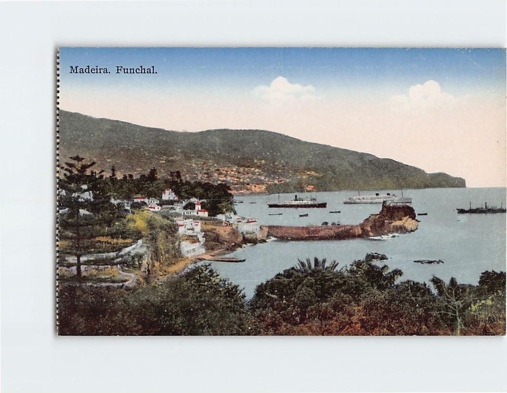 Postcard Madeira Funchal Portugal