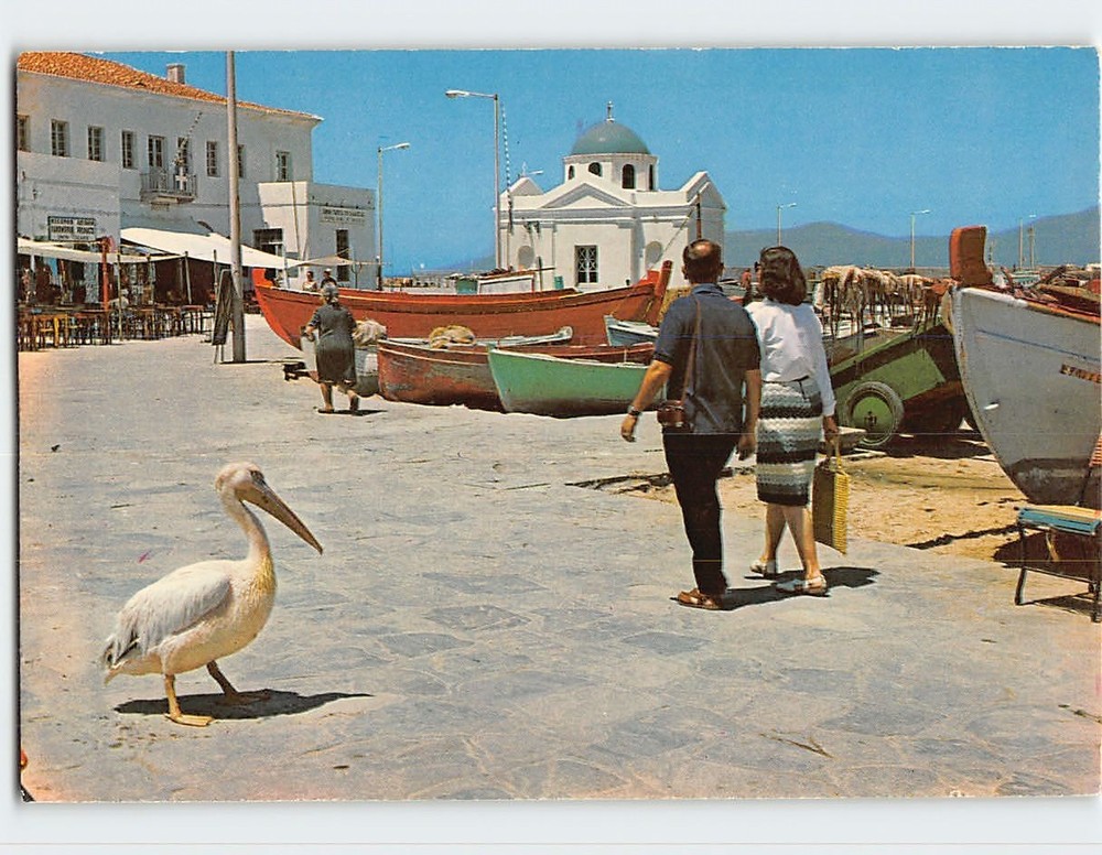 Postcard Peter the Pelican Mykonos Greece