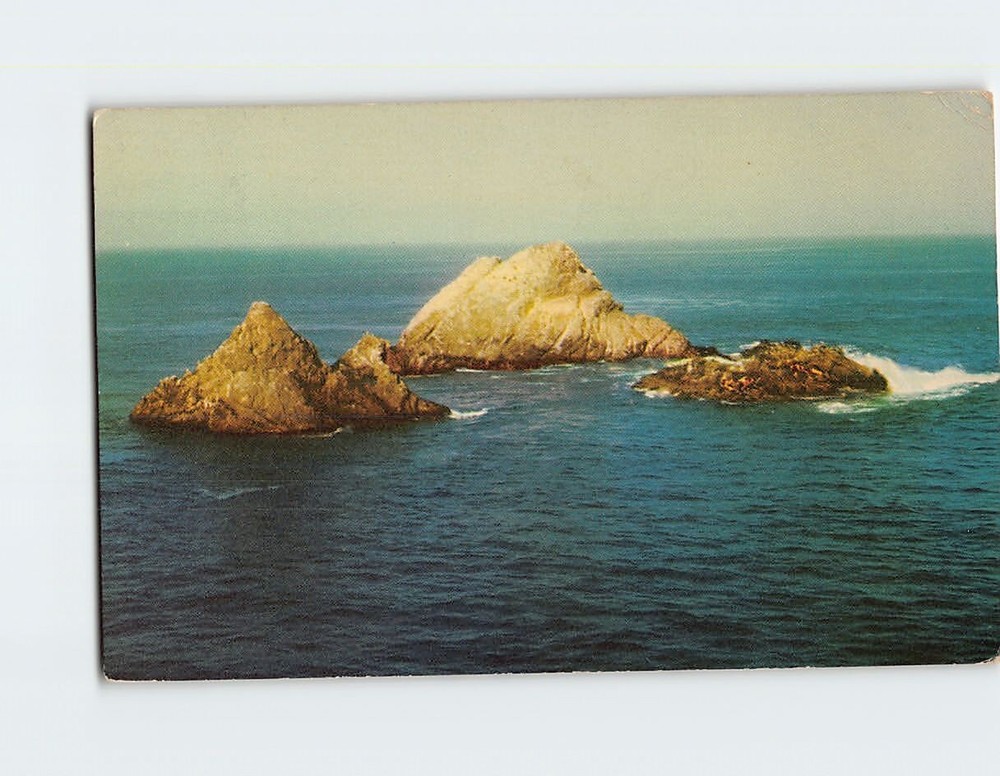 Postcard Seal Rocks San Francisco California USA