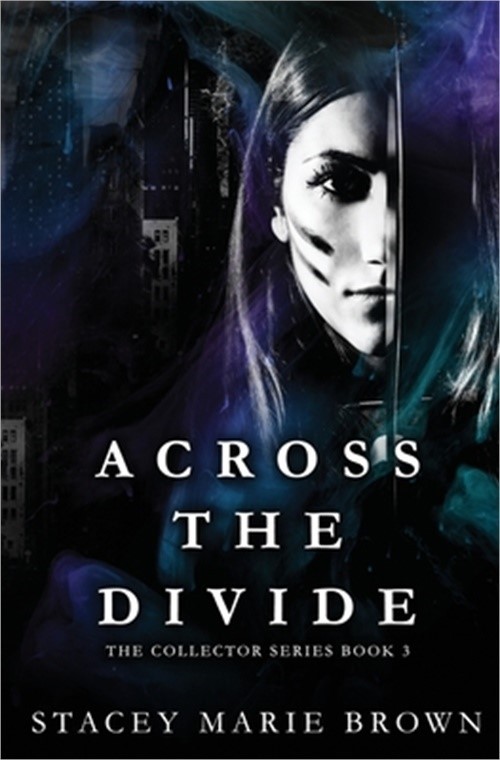 Across The Divide (Paperback or Softback)