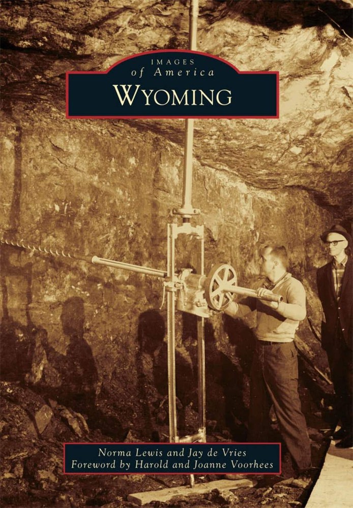 NEW Arcadia Publishing Wyoming, MI 9780738584140 Images of America Trade Paperba
