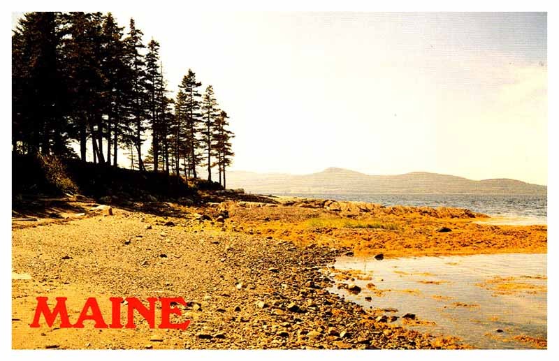 Postcard BEACH SCENE Rocky Beach Maine ME a/01 AU2727
