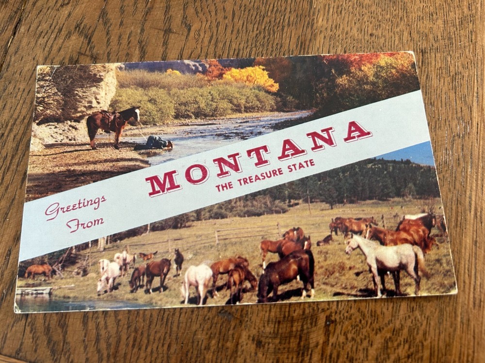 Greetings from Montana the Treasure State Horses Theme Postcard