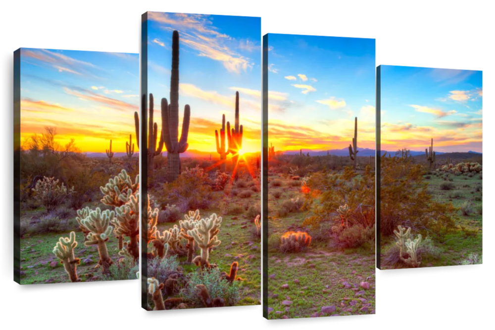 Sonoran Desert Sunset Landscape Wall Art